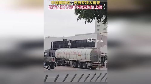 食用油安全風波再起 中儲糧金鼎疑遭污染，官方緊急行動凸顯行業隱憂