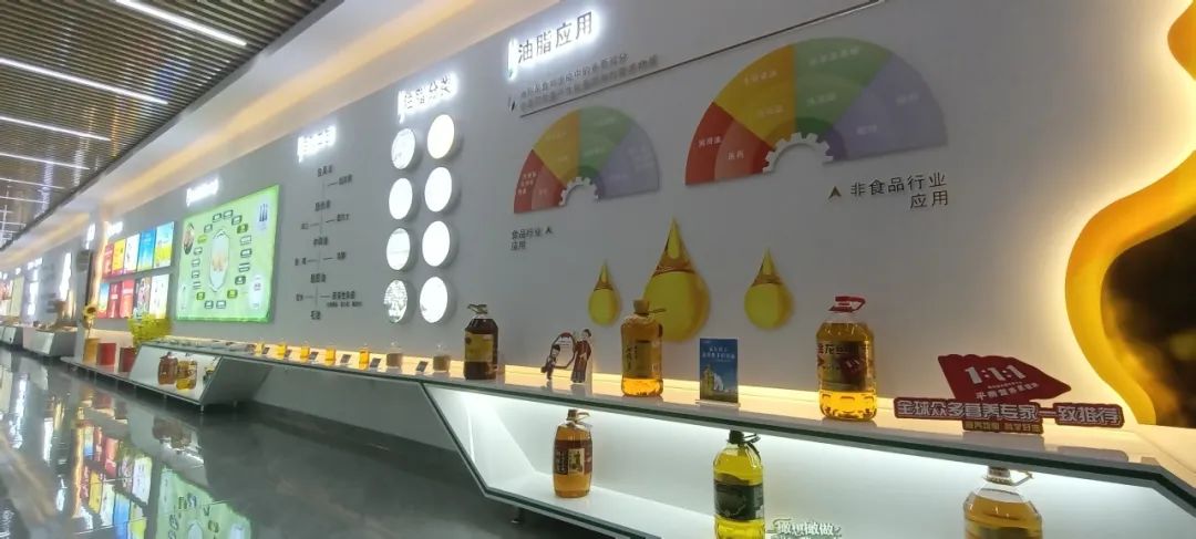 消費者親探益海嘉里金龍魚工廠 開啟安全健康之旅，探尋放心食用油的奧秘