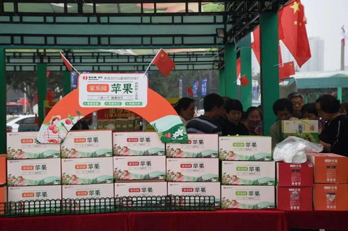 邢臺農特產品熱銷，正餐服務助推地方經濟