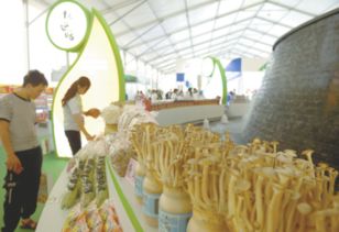 規(guī)模大、檔次高、印象深 打造邢臺農(nóng)產(chǎn)品新形象的“正餐服務(wù)”之道